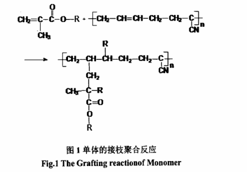 单体的接枝聚合反应